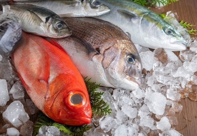 Nikmati Rasa Laut Segar di Depot Ikan H.S: Destinasi Kuliner Cilacap yang Wajib Dikunjungi